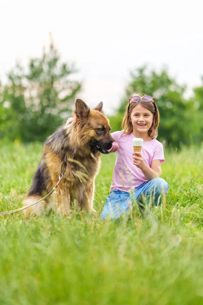 Uśmiechnięta Mała Dziewczynka Jedząca Lody Przytulająca Psa Pasterza Siedzącego Trawie — Zdjęcie stockowe