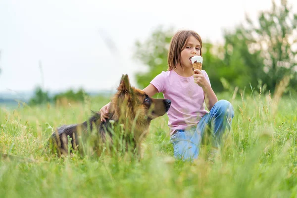 Menina Bonito Comer Sorvete Abraçando Cão Pastor Sentado Grama Olhando — Fotografia de Stock