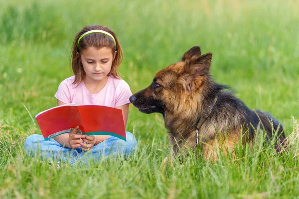 一位可爱的小女孩坐在她的牧羊犬旁边的草地上看书 她的背景模糊不清 — 图库照片#
