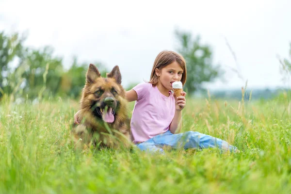 Menina Bonito Sentado Com Cão Pastor Grama Parque Comer Cone — Fotografia de Stock