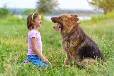 Küçük kız ve çoban köpeği çayırda çimlerin üzerinde oturup birbirlerinin gözlerinin içine bakarlar. Yüksek kaliteli fotoğraf, bulanık arkaplan