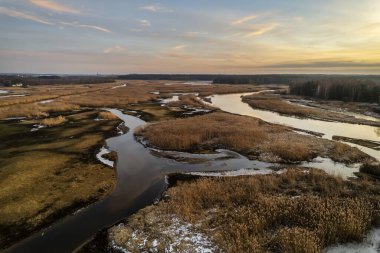 Sulejowski Barajı. Bataklıklar. Orta Polonya.