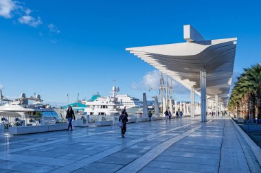 Palmiye ağaçları, fıskiyeler, heykeller ve restoranlarla dolu modern bir liman gezisi. Malaga, İspanya.
