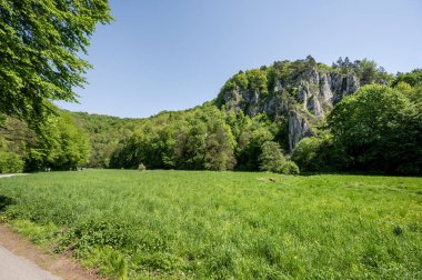 Ojcow Ulusal Parkı - Pradnik Vadisi, Polonya
