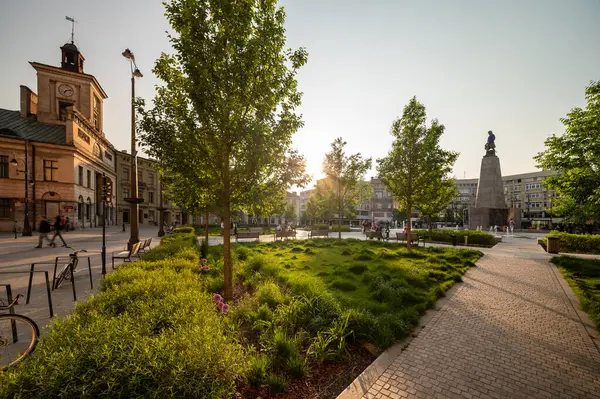 Lodz şehri, Özgürlük Meydanı manzarası. Lodz, Polonya.