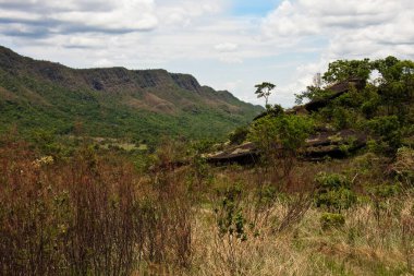 Vale da Lua 'nın ya da Chapada dos Veadeiros, Alto Paraiso de Goias, Brezilya' daki Ay Vadisi 'nin girişine giden patika.