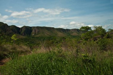 Vale da Lua 'nın ya da Chapada dos Veadeiros, Alto Paraiso de Goias, Brezilya' daki Ay Vadisi 'nin girişine giden patika.