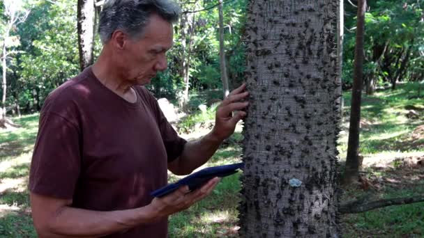 Biólogo Inspeccionando Las Espinas Árbol Anígico También Conocido Como Seda — Vídeos de Stock