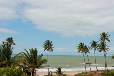 Conde, Paraiba, Brezilya 'daki Coqueirinho Sahili' nde önplanda hindistan cevizi ağaçları