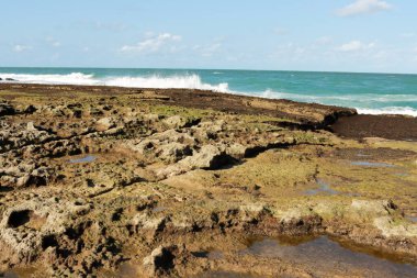 Brezilya 'nın Rio Grande do Norte eyaletindeki Pipa Sahili yakınlarındaki Cunhau Sahili' nde dalgaların çekildiği Rocky Coastline.