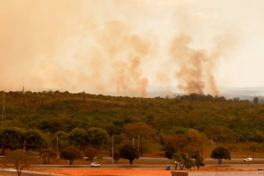 Ulusal Park 'taki büyük yangın namı diğer Brezilya' daki Parque Nacional de Brasilia kundaklamanın sonucu olarak 