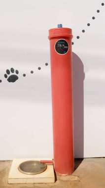 Brasilia, DF, Brezilya 19 Haziran 2025 Kenar mahalle yakınlarındaki bir köpek çeşmesi