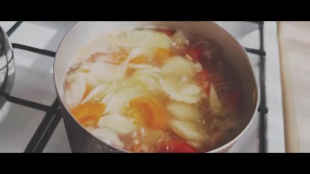 Olla Cocina Con Sopa Hirviendo Cocinar Alimentos Temática Primer Plano — Vídeo de stock