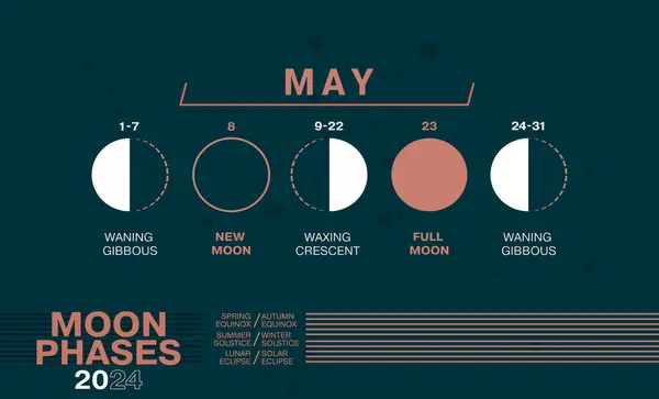 2024年5月のムーンフェーズ ウィングギボウス ワックスセント 太陽と月のエクリプスを含む日付と満月 ロイヤリティフリーストックベクター