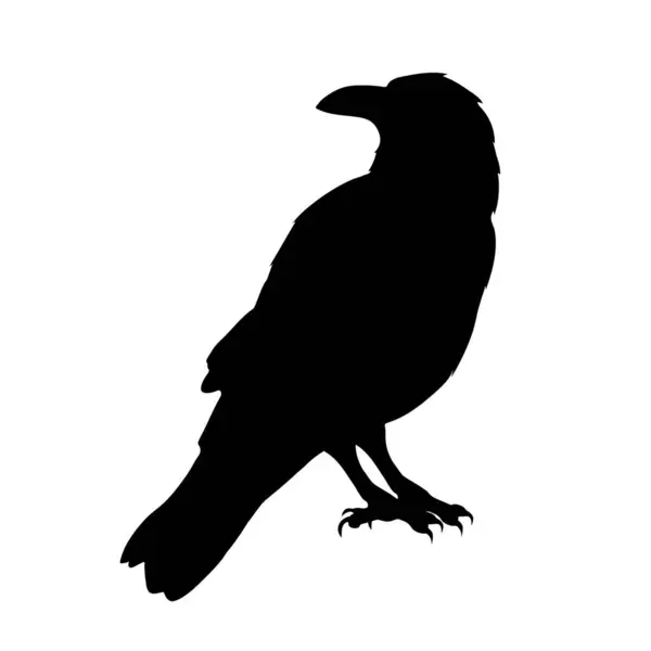 Kuş Kargası Simge için Siyah Siluet.