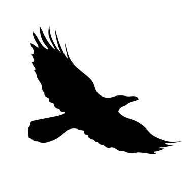 Kuş Kargası Simge için Siyah Siluet.