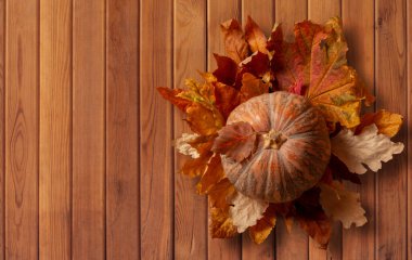 Turuncu balkabağı canlı sonbahar yapraklarıyla çevrili. Köhne ahşap bir yüzeye yerleştirilmiş. Mevsimsel hasat ve sıcak sonbahar titreşimlerini sembolize ediyor. Clipping Path ile Dosya.