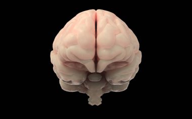 Beyazlı iki ekonomik grafiğin 3D çizimi