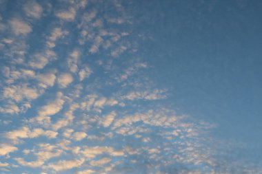 Sabahın erken saatlerinde Almanya 'nın Dresden şehrinde güneşle aydınlanan sirokümülüs bulutlarıyla gökyüzü. Yüksek kalite fotoğraf