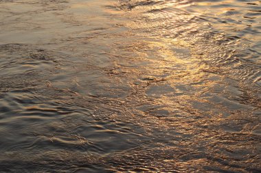 Dresden 'deki Elbe Nehri' nin yüzeyi gün batımında ışığı yansıtıyor. Yüksek kalite fotoğraf