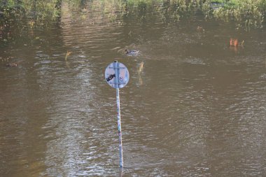 DRESDEN, ALMANY 18 Eylül 2024:. Yüksek kalite fotoğraf