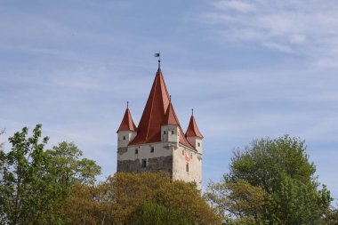 HAAG, GERMANY - 20 Nisan 2025: Schlossturm Haag ve Freiham 'ın daha küçük Schlossturm' u, çayırdan bakıldığında tarihi mimari ve Bavyera mirası sergilenmektedir. Yüksek kalite fotoğraf