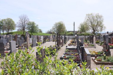 HAAG, GERMANY - 20 Nisan 2025: Ağaçlar ve iyi korunmuş yeşilliklerle çevrili çeşitli mezar taşları ve anıtlarla dolu Haag mezarlığı. Yüksek kalite fotoğraf