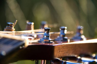 NUREMBERG, GERMANY - 21 Temmuz 2013: Fender gitar başlığının akort mandallı yakın çekimi, marka logosu ve karmaşık işçiliği vurgulanıyor, bulanık bir arkaplan üzerine kuruluyor. Yüksek kalite fotoğraf