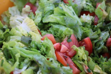 Domatesli taze yeşil salata. Yüksek kalite fotoğraf