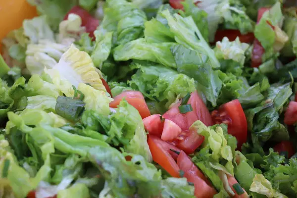Domatesli taze yeşil salata. Yüksek kalite fotoğraf