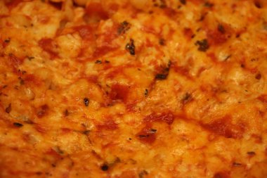 Peynirli ve domates soslu Alman Spagetti. Yüksek kalite fotoğraf
