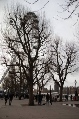 LONDRA, BİRLİK KINGDOM - 30 Aralık 2017: Soğuk bir kış günü yapraksız ağaçların altında Güney Şeria boyunca yürüyen yayalar. Yüksek kalite fotoğraf