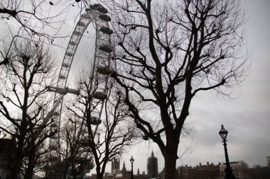 LONDON, UNITED KINGDOM - 30 ARALIK 2017 Londra Gözü, arka planda Westminster 'ın olduğu Güney Şeria boyunca çıplak kış ağaçları tarafından çerçevelenmiştir. Yüksek kalite fotoğraf