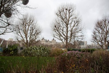 Londra, UNITED KINGDOM - 30 Aralık 2017: Yapraksız ağaçlar, çiçek yatakları ve bulutlu gökyüzü ile Londra Gözü yakınlarındaki Jubilee Gardens kış sahnesi. Yüksek kalite fotoğraf