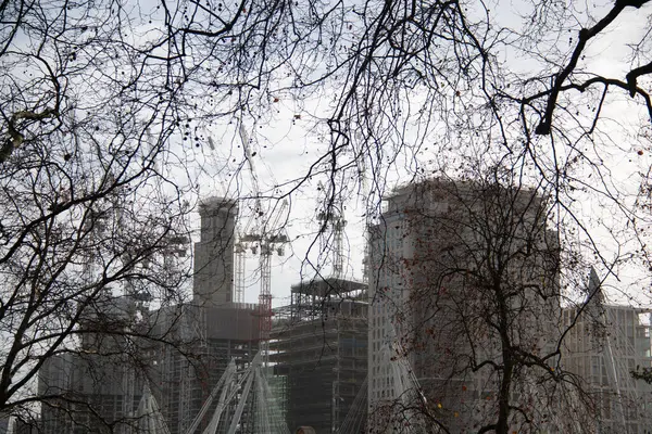 LONDON, UNITED KINGDOM - 30 ARALIK 2017: Bulutsuz bir günde yapraksız dallardan görülebilen çıplak ağaçlar ve modern binalar ile kentsel kış manzarası. Yüksek kalite fotoğraf