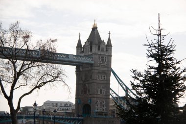 Londra, BİRLİK KINGDOM - 30 Aralık 2017: Yapraksız ağaçların arkasındaki Tower Bridge manzarası ve Londra 'da kış boyunca bir Noel ağacı. Yüksek kalite fotoğraf