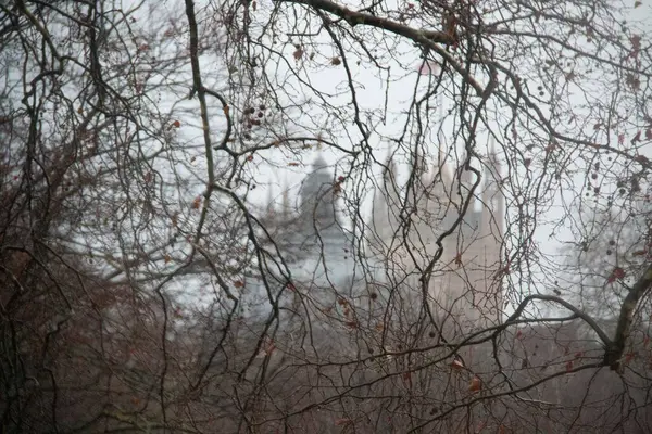 Londra 'da sisli bir kış gününde Westminster Sarayı' nın kuleleri çıplak ağaç dalları tarafından kısmen kapatıldı. Yüksek kalite fotoğraf
