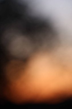 Bulanık günbatımı ışığı soyut bir bokeh yaratıyor. Siluetli ağaçların arasından. Açık hava ortamında. Yüksek kalite fotoğraf