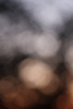 Bulanık günbatımı ışığı soyut bir bokeh yaratıyor. Siluetli ağaçların arasından. Açık hava ortamında. Yüksek kalite fotoğraf
