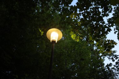  Parktaki bir sokak lambasının akşam manzarası. Yüksek kalite fotoğraf