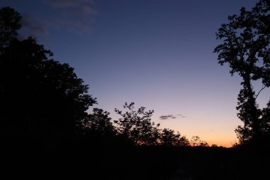 Gün batımının akşam manzarası. Yüksek kalite fotoğraf