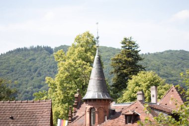 Heidelberg 'de güneşli bir bahar gününde arka planda yemyeşil orman tepeleri tarafından çerçevelenmiş çatı manzarası ve kule. Yüksek kalite fotoğraf