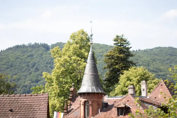 Heidelberg 'de güneşli bir bahar gününde arka planda yemyeşil orman tepeleri tarafından çerçevelenmiş çatı manzarası ve kule. Yüksek kalite fotoğraf