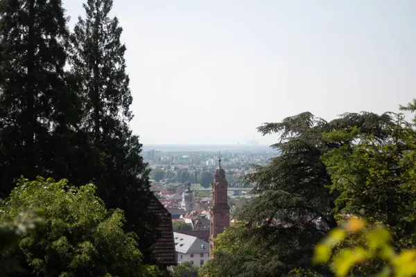 HeideELBERG, ALMANY - 19 Mayıs 2018: Felsefe Yürüyüşü 'nden ağaçların arasından şehrin ve Kutsal Ruh Kilisesi' nin uzak manzarası. Yüksek kalite fotoğraf