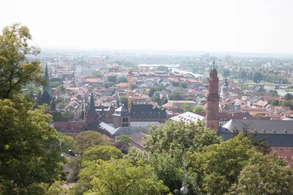Heidelbergs 'in eski kasabasının manzarası, çatıların üzerinde yükselen Kutsal Ruh Kilisesi ve ön planda yeşil yeşillikler. Yüksek kalite fotoğraf