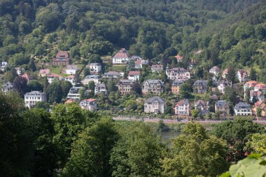 HeideELBERG, ALMANY - 19 Mayıs 2018: Heidelberg 'deki Neckar Nehri' nin karşısındaki bir orman yamacına kurulmuş yerleşim binaları. Yüksek kalite fotoğraf