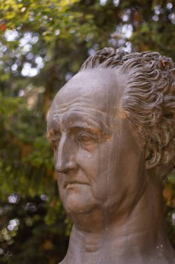 HeideELBERG, ALMANY - 19 Mayıs 2018: Johann Wolfgang von Goethe 'nin büstü Heidelberg' deki yapraklı bir parkta sergilendi. Yüksek kalite fotoğraf