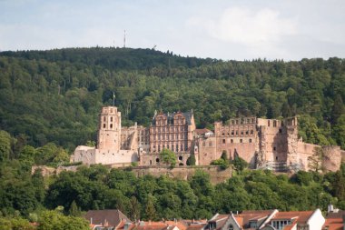 HeideELBERG, ALMANY - 19 Mayıs 2018: Orman tepesindeki tarihi Heidelberg Şatosu manzarası. Yüksek kalite fotoğraf