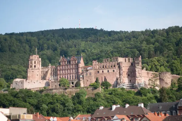 HeideELBERG, ALMANY - 19 Mayıs 2018: Heidelberg Kalesi 'nin tarihi eski kasabanın üzerindeki orman tepeleriyle çevrili uzak manzarası. Yüksek kalite fotoğraf