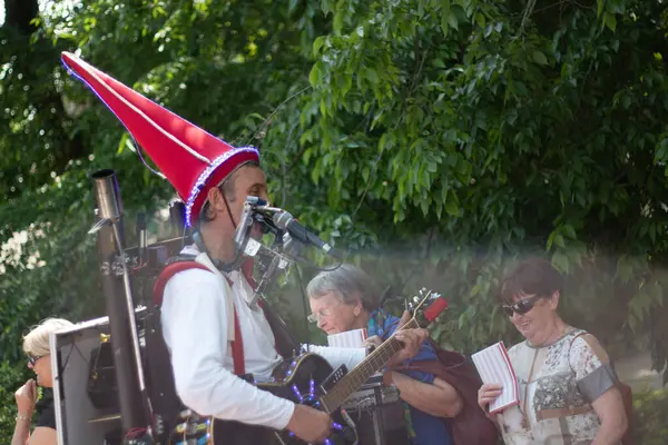 SPEYER, GERMANY - 21 Mayıs 2018: Bir kalabalığın önünde canlı performans sırasında kostümlü sokak müzisyeni bir hoparlörle gitar çalıyor. Yüksek kalite fotoğraf